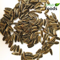 Processamento bruto de sementes de girassol 361 fornecedor chinês